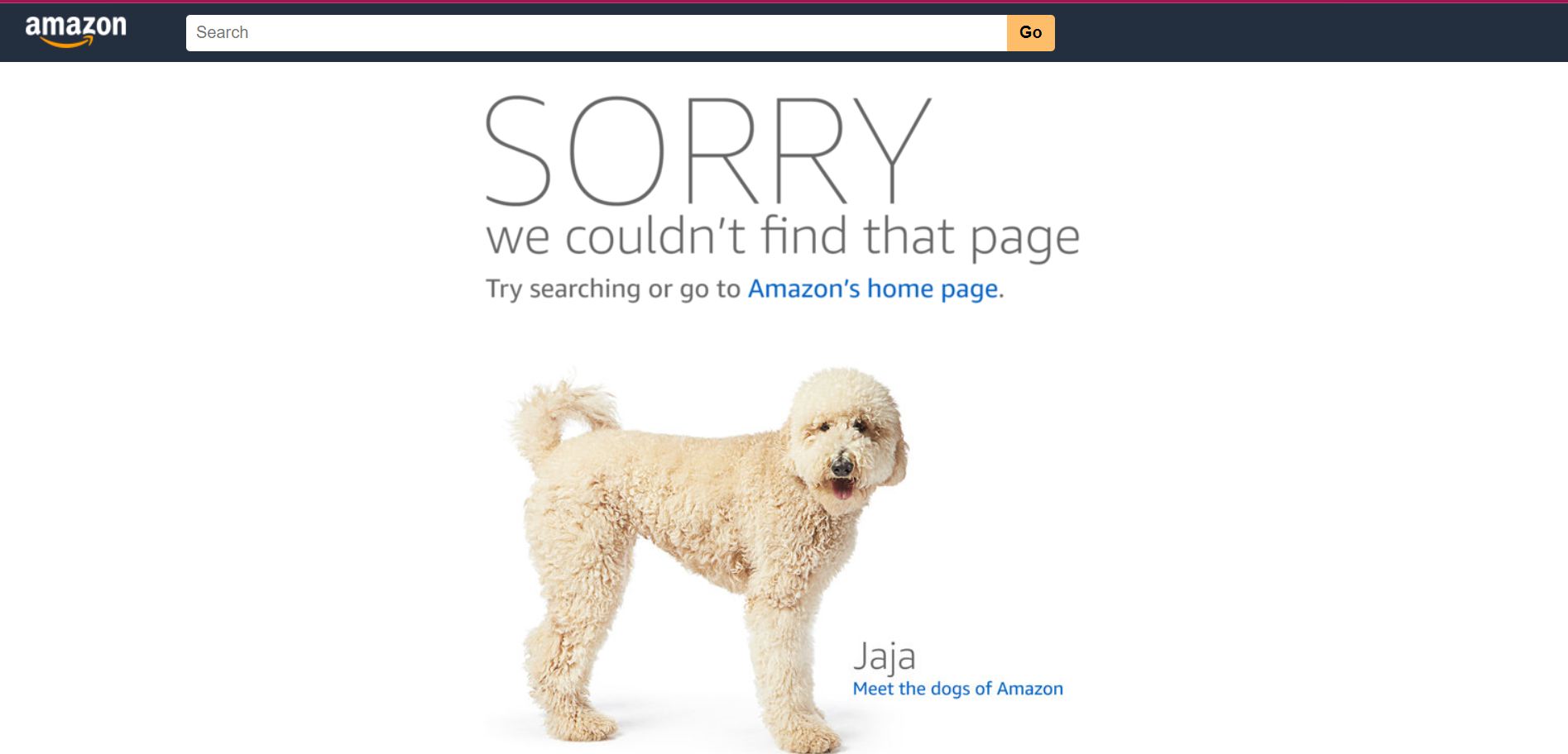 Amazon 404-Seite
